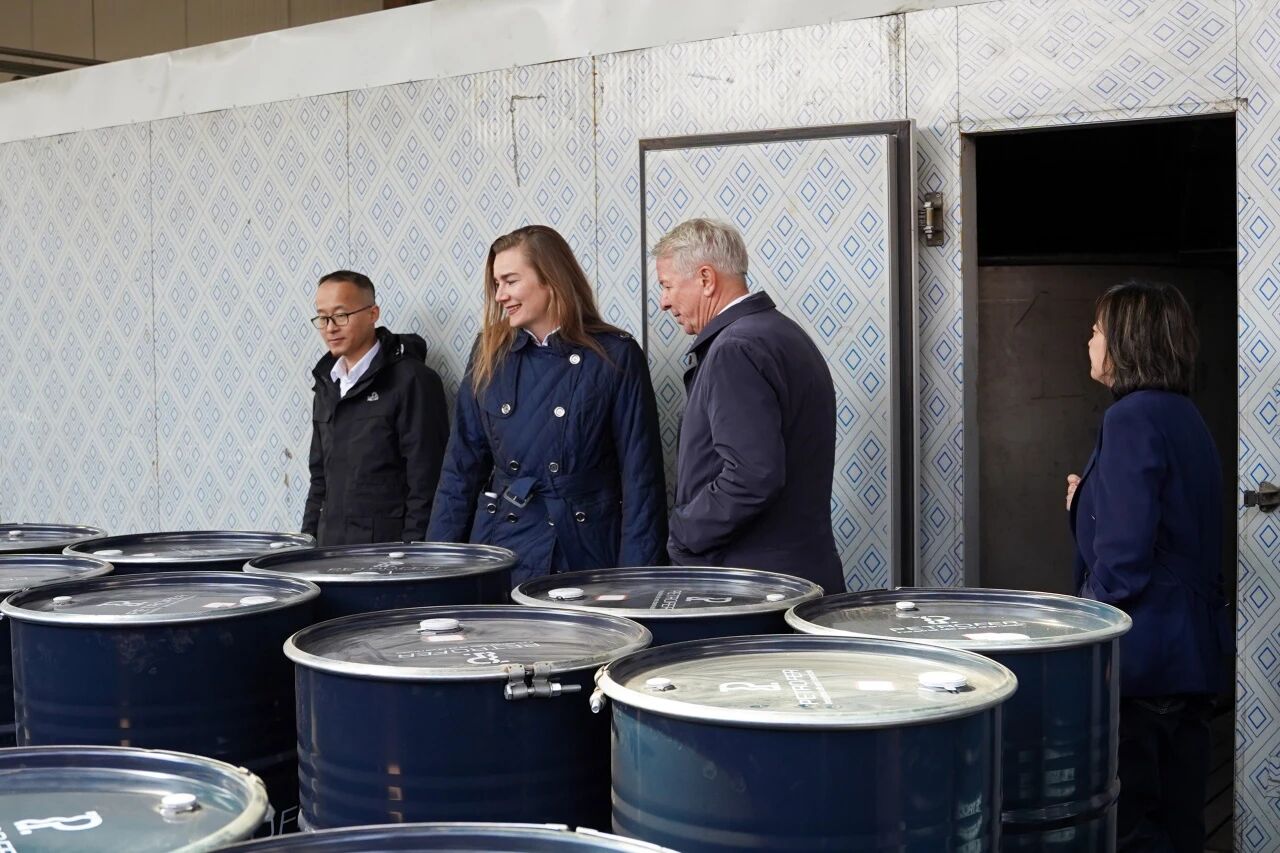 凯时尊龙人生就是博·Z6(中国)首页官网